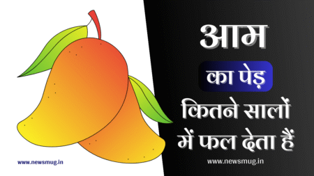 aam-ke-bare-mein-jankari