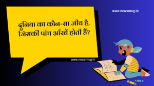 majedar-paheliyan-in-hindi-with-answer