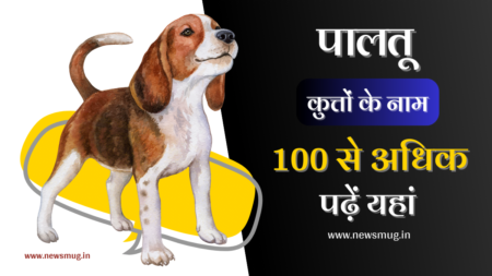 dogs-nickname-in-hindi