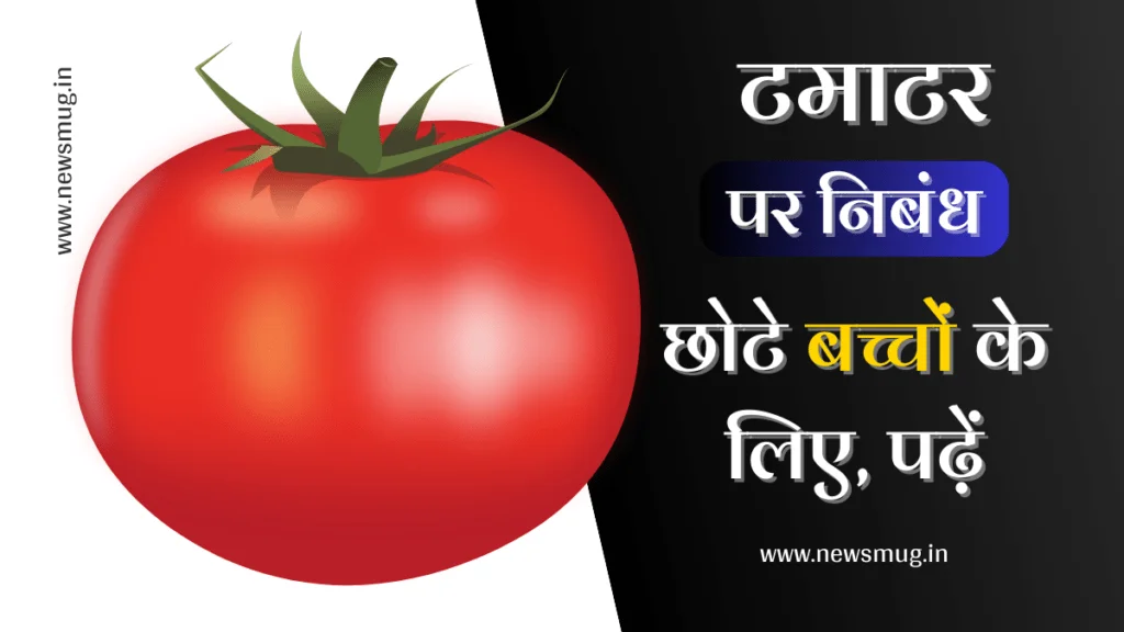 10 Sentences About Tomato In Hindi | टमाटर पर निंबध पढ़ें यहां sentences-about-tomato-in-hindi