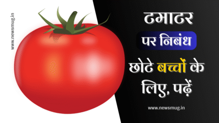 sentences-about-tomato-in-hindi