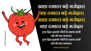 sentences-about-tomato-in-hindi