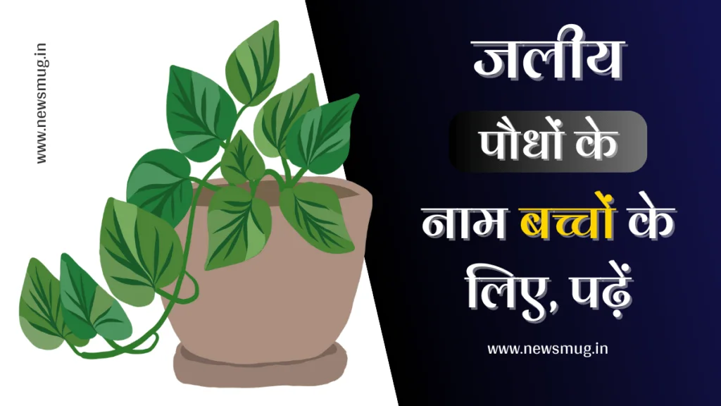 water-plants-name-in-hindi-and-english