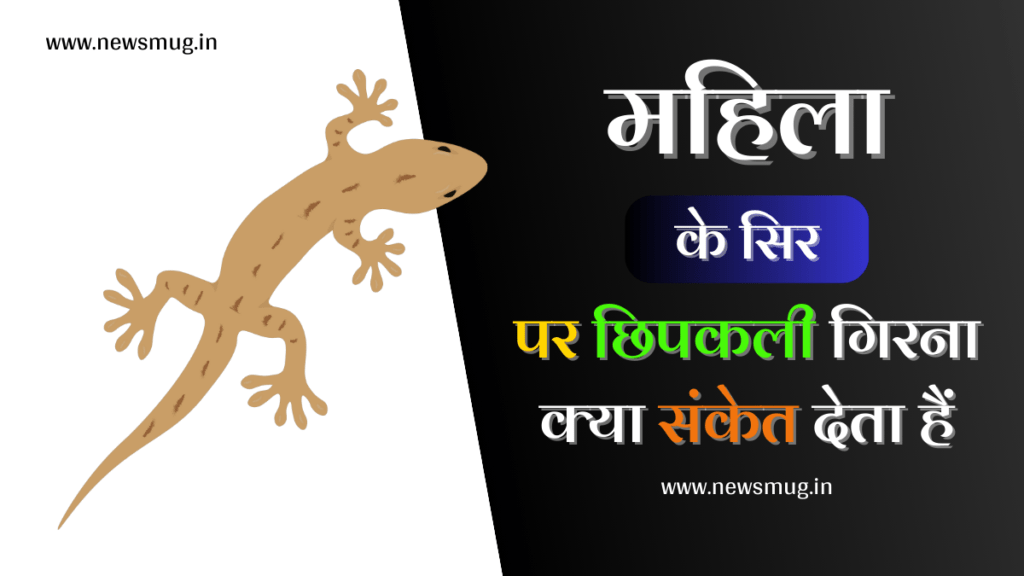 स्त्री के सिर पर छिपकली गिरना | Stri Ke Sir Par Chipkali Girna stri-ke-sir-par-chipkali-girna