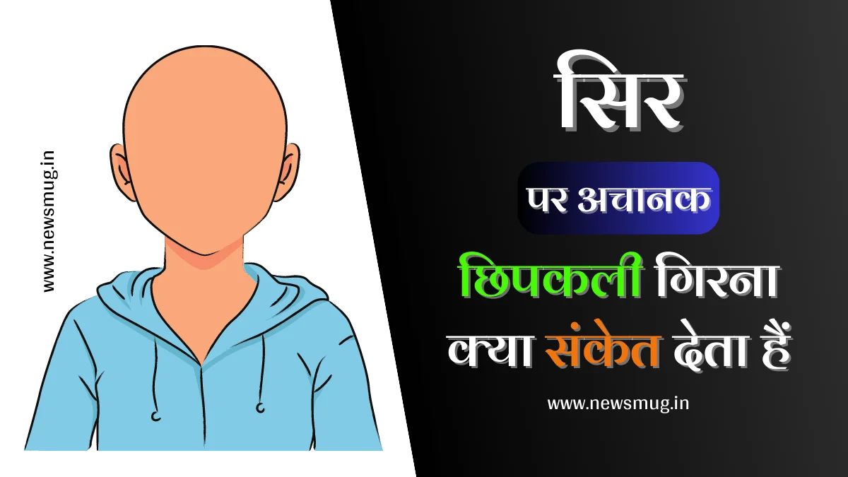 chipkali-sir-par-girne-se-kya-hota-hai