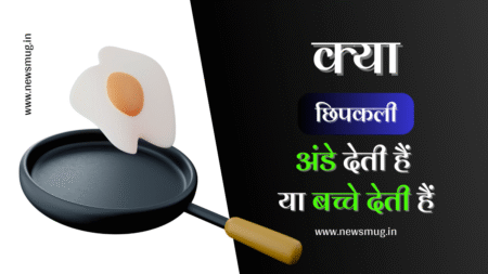 क्या छिपकली अंडे देती है | Kya Chipkali Ande Deti Hai kya-chipkali-ande-deti-hai