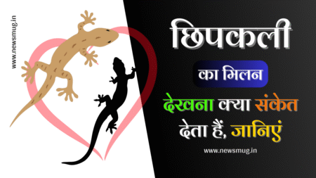 छिपकली का मिलन देखना | Chipkali Ka Milan Dekhna chipkali-ka-milan-dekhna