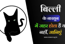 billi-ke-nakhun-mein-zeher