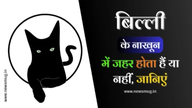 billi-ke-nakhun-mein-zeher