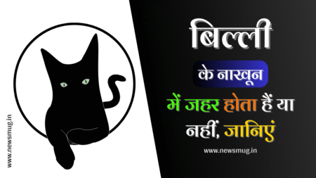 बिल्ली के नाखून में जहर होता है या नहीं | Billi Ke Nakhun Mein Zeher billi-ke-nakhun-mein-zeher