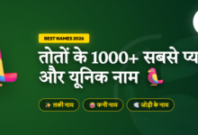 Pet Parrot Names in Hindi