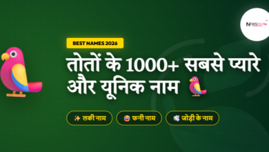 Pet Parrot Names in Hindi