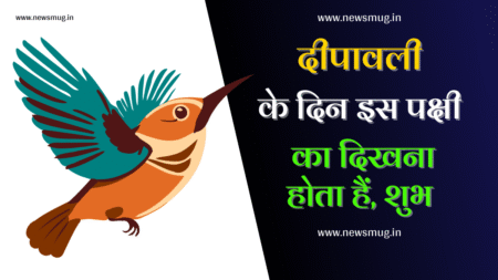 See Special Bird On the Day of Diwali | दीपावली के दिन दिख जाए यह विशेष पक्षी तो समझ जाइए की आपको धन की प्राप्ति होगी see-special-bird-on-the-day-of-diwali