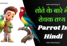 parrot-in-hindi