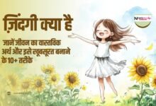 ज़िंदगी क्या है