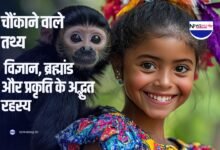 दुर्लभ औषधि की कहानी