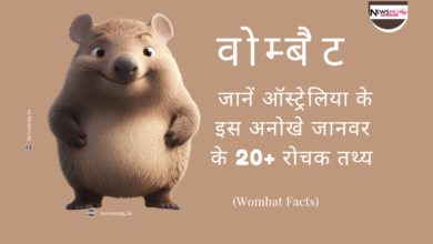वोम्बैट के रोचक तथ्य