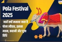 Pola Festival