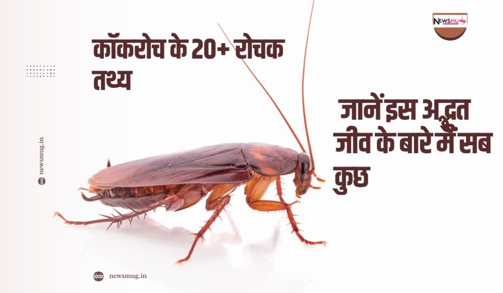 कॉकरोच के रोचक तथ्य