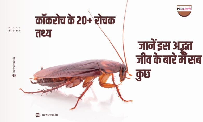 कॉकरोच के रोचक तथ्य