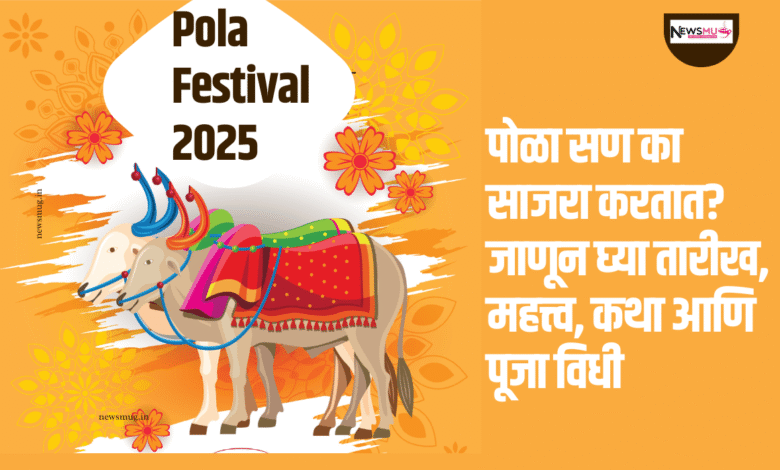पोळा सण