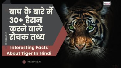 30 mind blowing facts about tiger in hindi