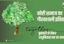 what is the history of koshti weavers community