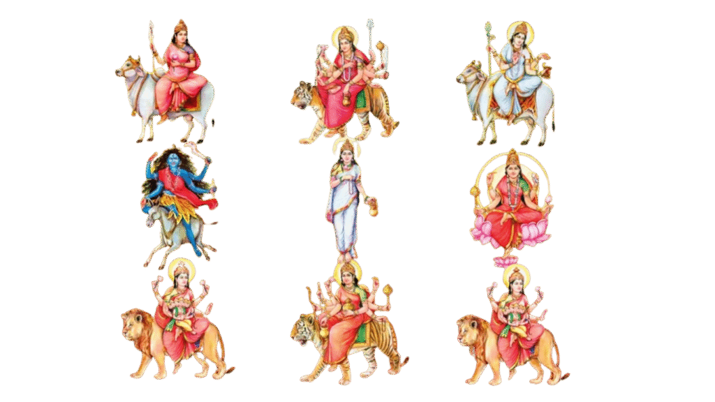 what is the significance of 9 colours of navratri in hindi