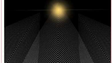 Optical Illusion 2026