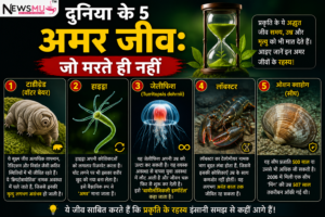 दुनिया के 5 अमर जीव