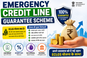 emergency credit line guarantee scheme