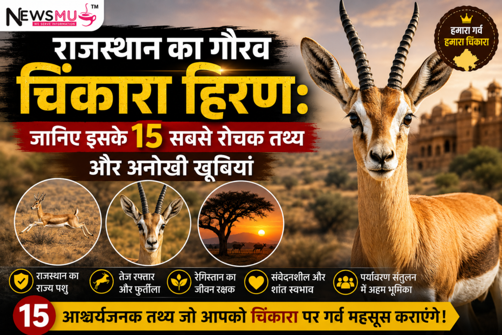राजस्थान का गौरव चिंकारा हिरण: जानिए इसके 15 सबसे रोचक तथ्य और अनोखी खूबियां राजस्थान का गौरव चिंकारा हिरण