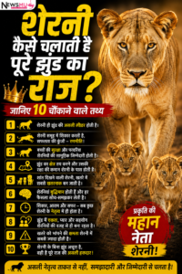 शेरनी कैसे चलाती है पूरे झुंड का राज