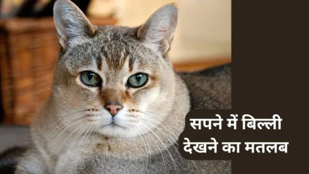 Sapne me Cat Dekhna
