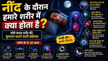 सोते समय शरीर में क्या-क्या होता है? जानिए पूरा विज्ञान सोते समय शरीर में क्या-क्या होता है? जानिए पूरा विज्ञान
