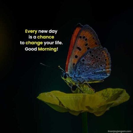 Good Morning Messages | 1100+ Good Morning Text Messages Good Morning Messages | 1100+ Good Morning Text Messages