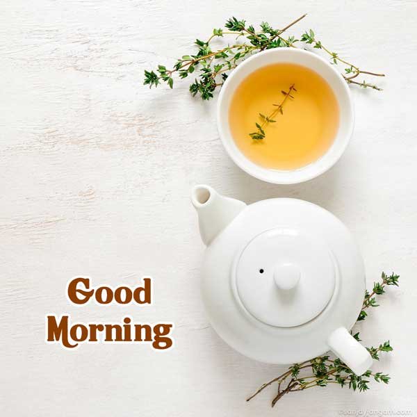 good morning my friend images