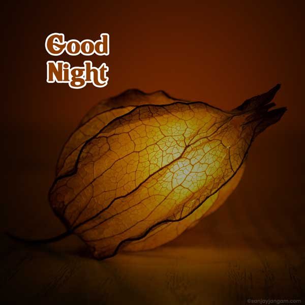 good night god images