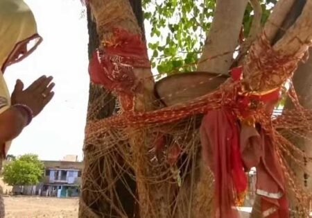 पीपल की पूजा के जरूरी नियम। भूलकर भी ना करें यह काम। पीपल की पूजा के जरूरी नियम। भूलकर भी ना करें यह काम।